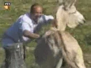 Impossible de lire la video