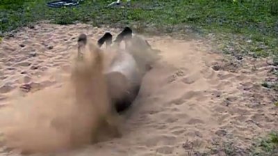 Impossible de lire la video