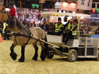 Cheval poitevin attelé lors du concours Trait d'avenir attelage dans l'épreuve de maniabilité - Salon international de l'agriculture 2013, Paris, France <p>Par <a href="https://commons.wikimedia.org/w/index.php?curid=24862927" class="spip_out" rel="external">Eponimm</a> — Travail personnel, CC BY-SA 3.0,</p>